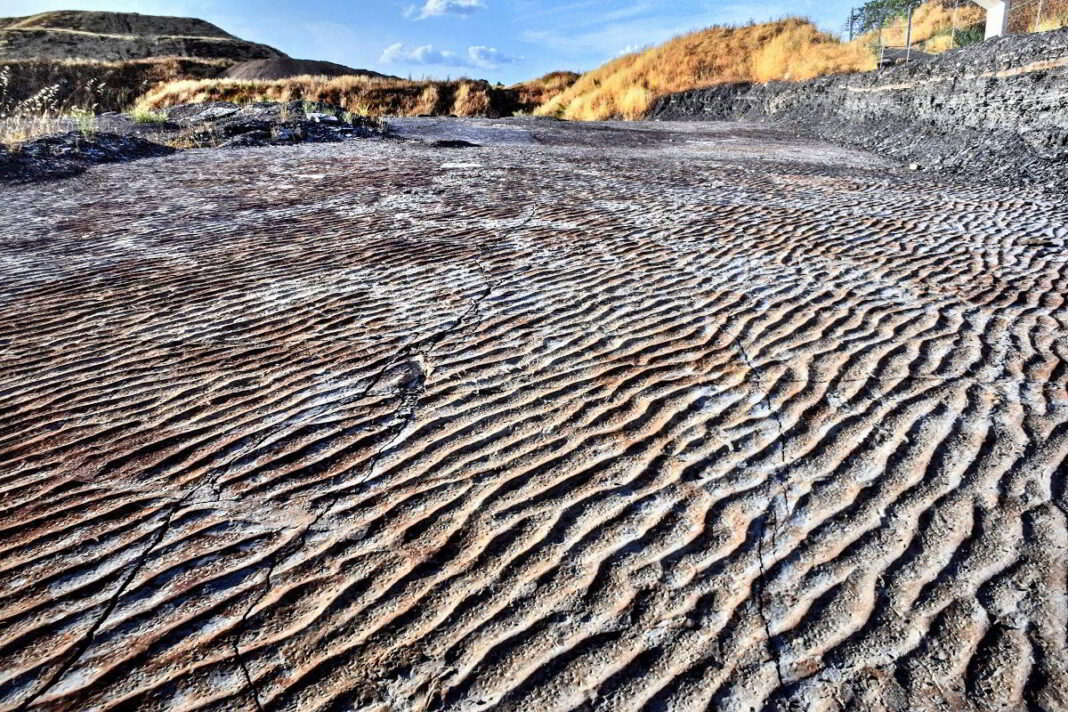expocarbonifero-1_01-1