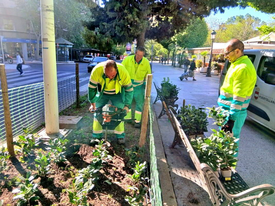 plantacion-1
